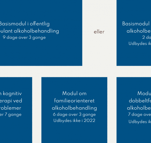 Illustration af alkoholbehandleruddannelsens opbygning