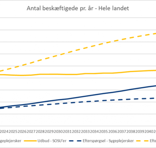 Antal beskæftigede pr. år - hele landet