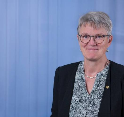 Ann Bendixen