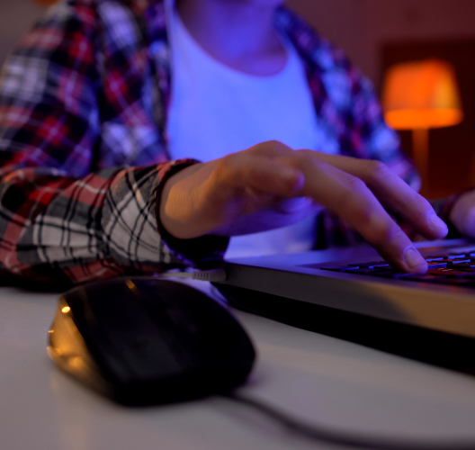 Dreng ved computer