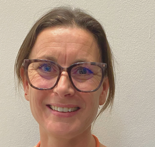 Politisk besluttede forandringer i en reformtid | Komponent