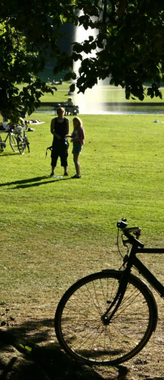 Cykel parkeret i grøn park